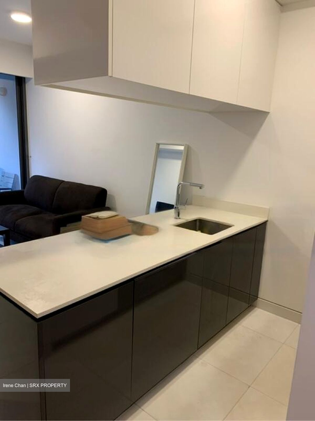 UP@Robertson Quay (D9), Apartment #463480501